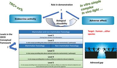 Regulatory Testing for Endocrine Disruptors; Need for Validated Methods and Integrated Approaches